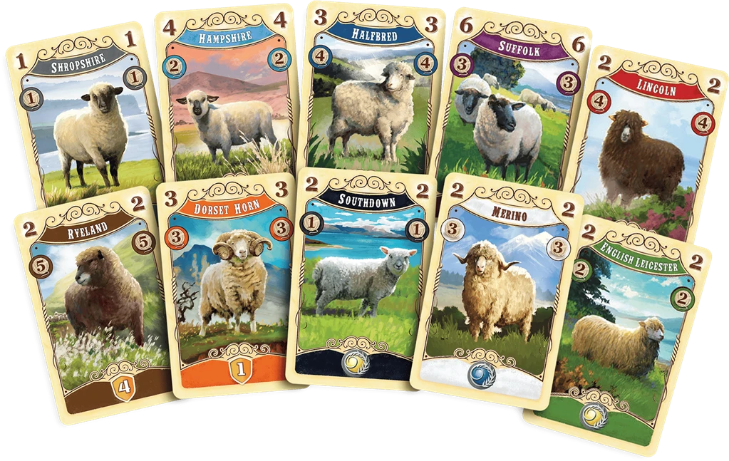 Great Western Trail 2.0 : Nouvelle-Zélande 3 Great Western Trail 2.0 : Nouvelle-Zélande – Image 3